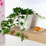 Cozy House 5 Minutes From The - Caparica * Costa de Caparica