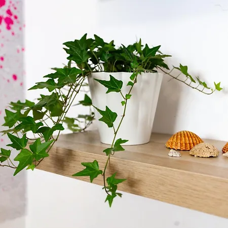 Cozy House 5 Minutes From The - Caparica * كوستا دا كاباريكا